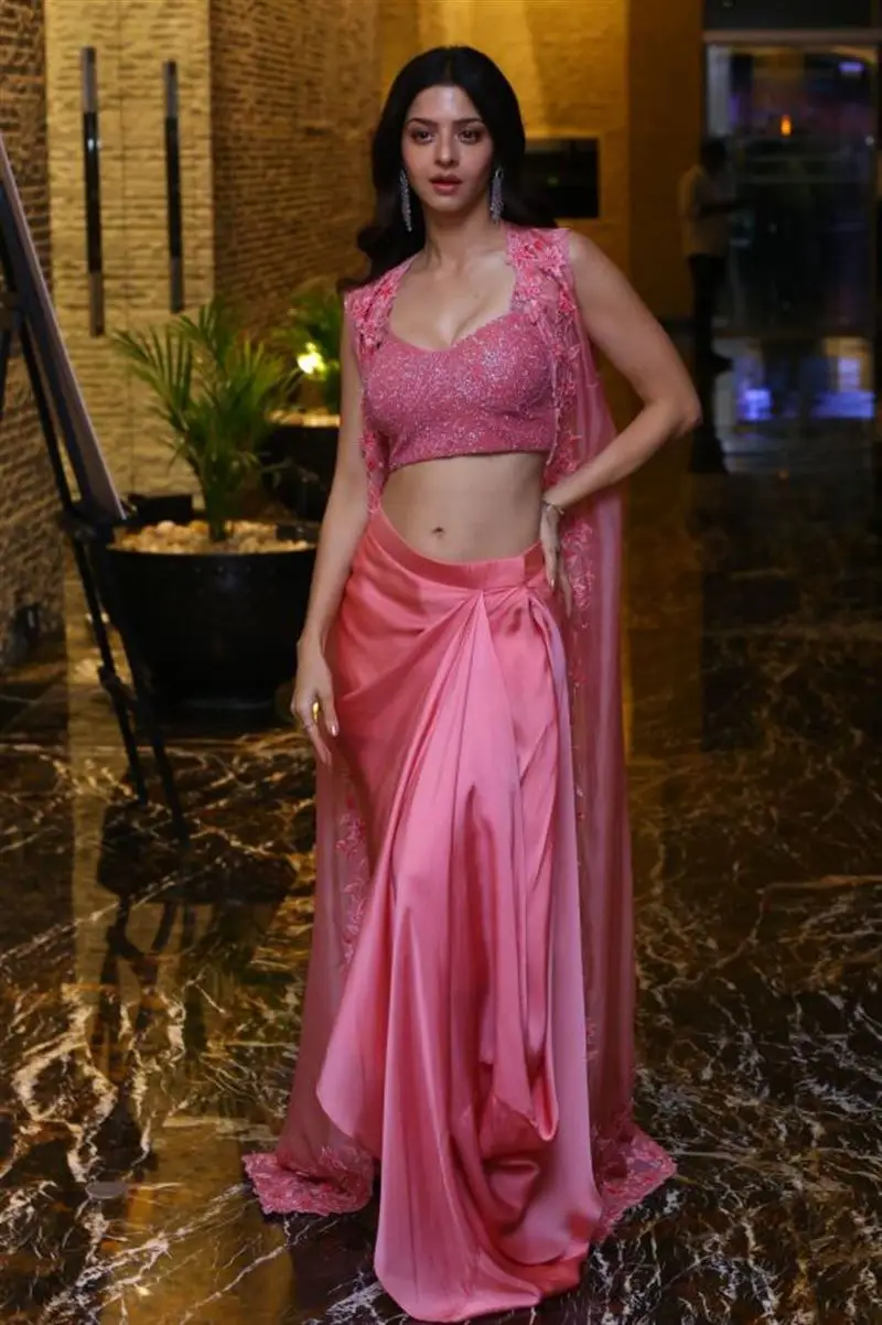 Vedhika Stills in Pink Lehenga Choli